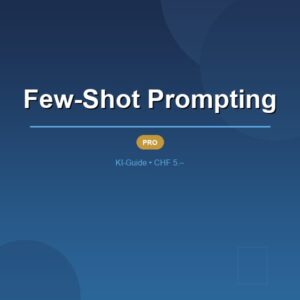 Few-Shot Prompting