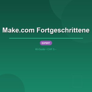 Make.com Fortgeschrittene